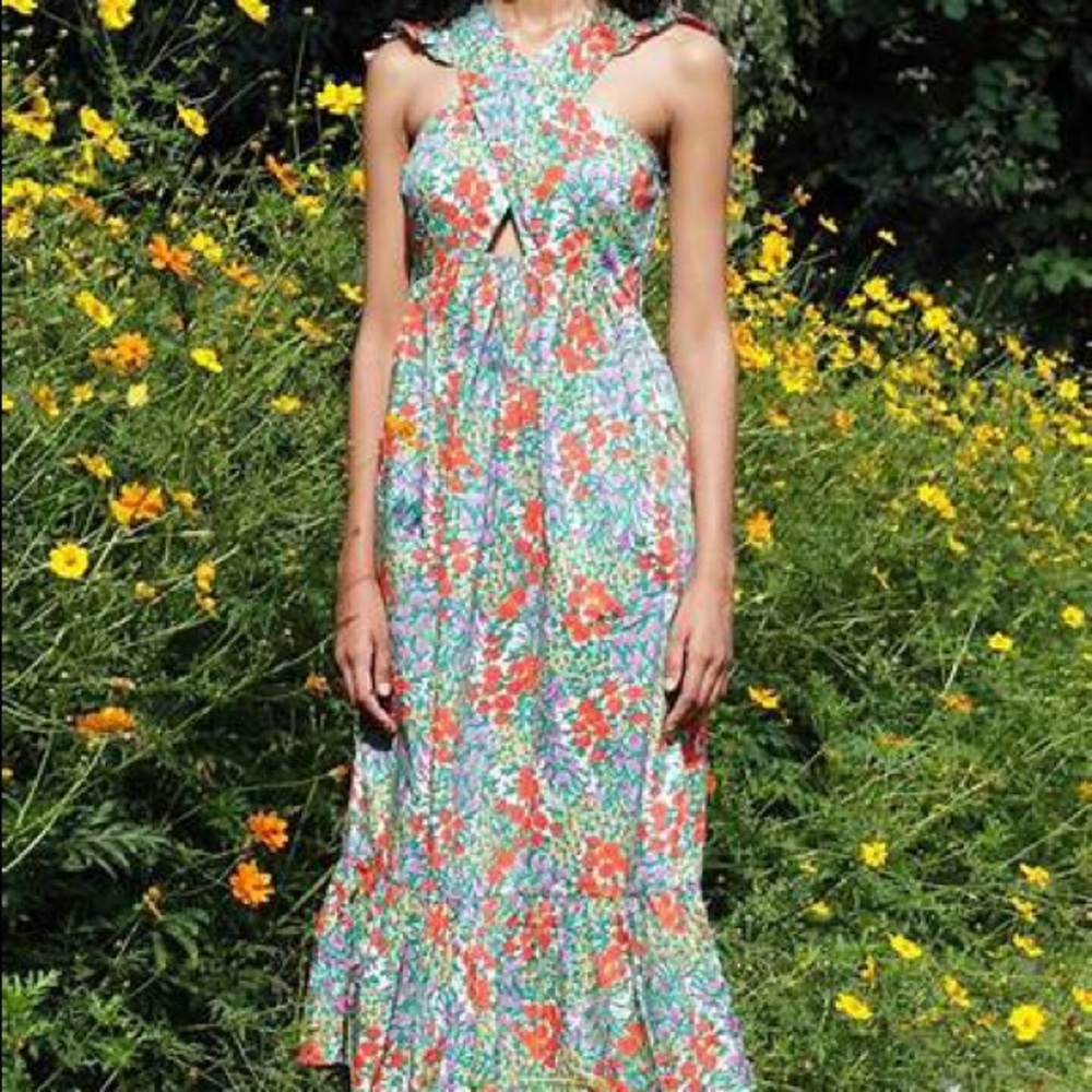 Banjanan NWT Cecil maxi dress